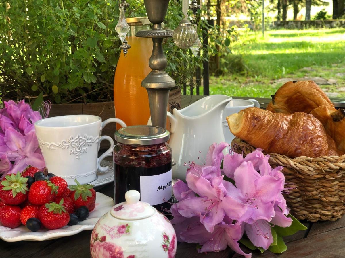 Manoir De Chantemerle Sainte-Fortunade